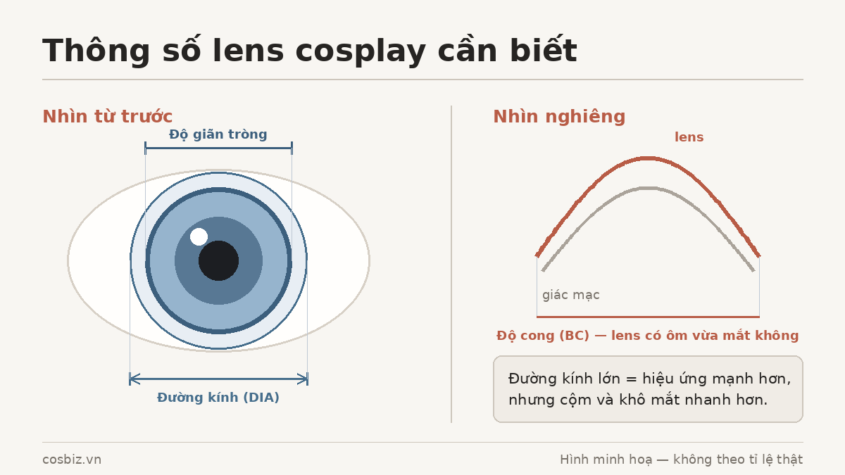Sơ đồ thông số lens cosplay: đường kính DIA, độ giãn tròng và độ cong BC